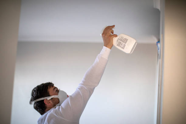 Best Residential Mold Removal  in St Augustine Beach, FL