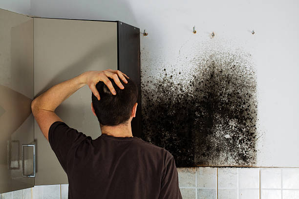 Certified Mold Removal in St Augustine Beach, FL